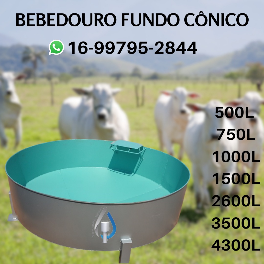 WhatsApp Image 2023-06-30 at 16.01.31 (1)