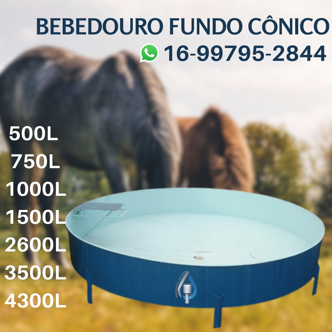 WhatsApp Image 2023-06-30 at 16.01.31 (2)