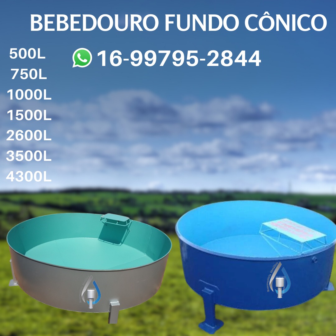 WhatsApp Image 2023-06-30 at 16.01.31